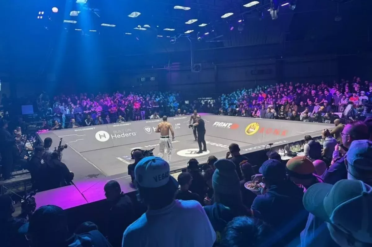 Brilantní otočka a KO. A kladivo na cestu do bezvědomí