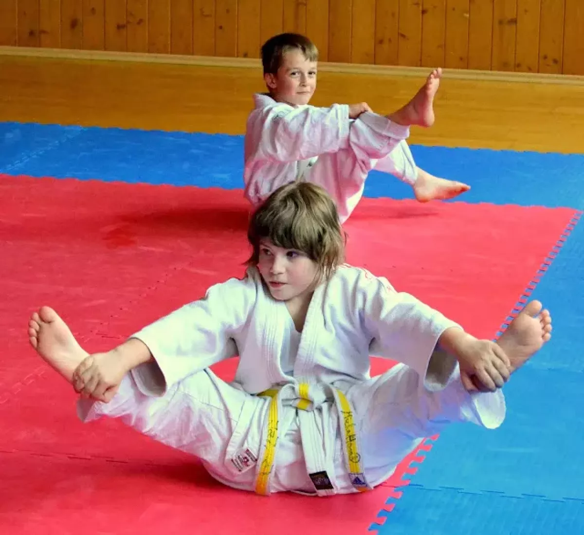 Plzeň má nový klub juda. Město ho podpoří sedmdesáti tisíci